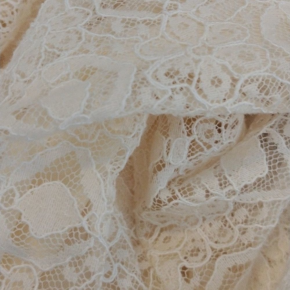 NWT Max Studio Lace Shift Dress - Picture 13 of 13